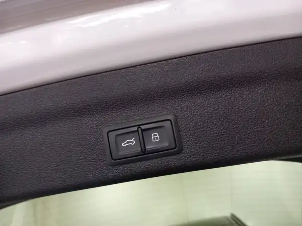 AUDI A6 Avant TFSI e 55 TFSI e quattro sport Pano HUD MTRX (13/19)