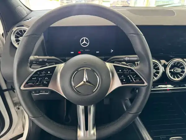 MERCEDES-BENZ EQA 250 (14/18)