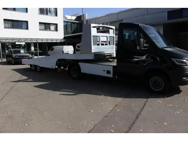 MERCEDES-BENZ Sprinter 519 CDI FGS Autotransporter (19/21)